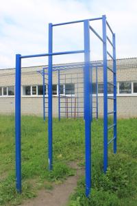 Купить Турник уличный разноуровневый со шведской стенкой в Артёме 